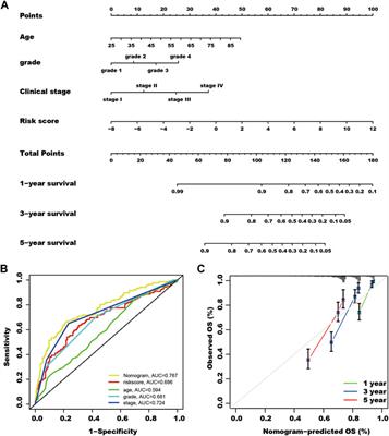 A novel risk model of three SUMOylation genes based on RNA expression for potential prognosis and treatment sensitivity prediction in kidney cancer